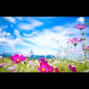 Meet your Posher, Stephany